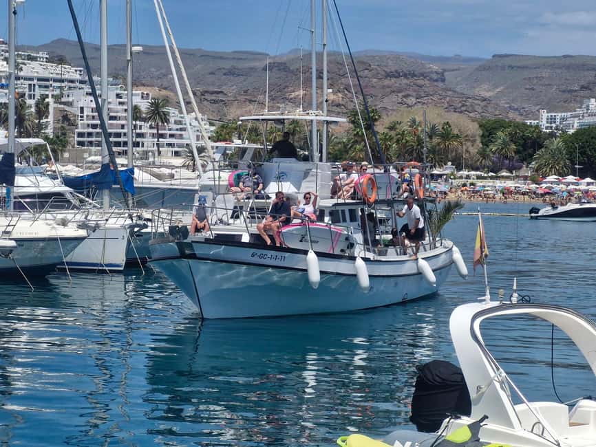 Puerto Rico, Gran Canaria: boat trip, drinks, food, paddle surfing, snorkeling - Comfort, safety, and the family setup