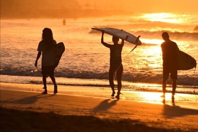 Ride a Wave Surf School Weligama Sri Lanka - What progress can you expect?