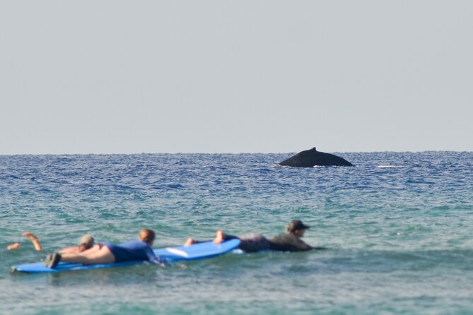 Semi Private Surf Lessons with Experienced Coaches - Key points to know before you book