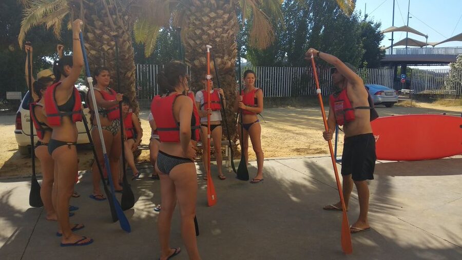Seville: 2 Hour Paddle Surf Class - Final call: a strong-value way to see Seville