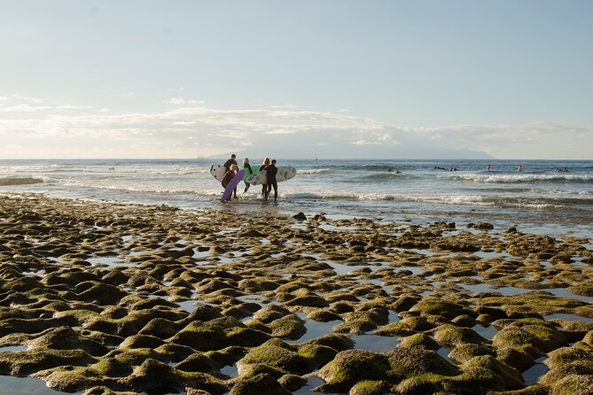 Small Group Surf Lesson in Playa de las Américas - Timing, cancellation, and planning your day