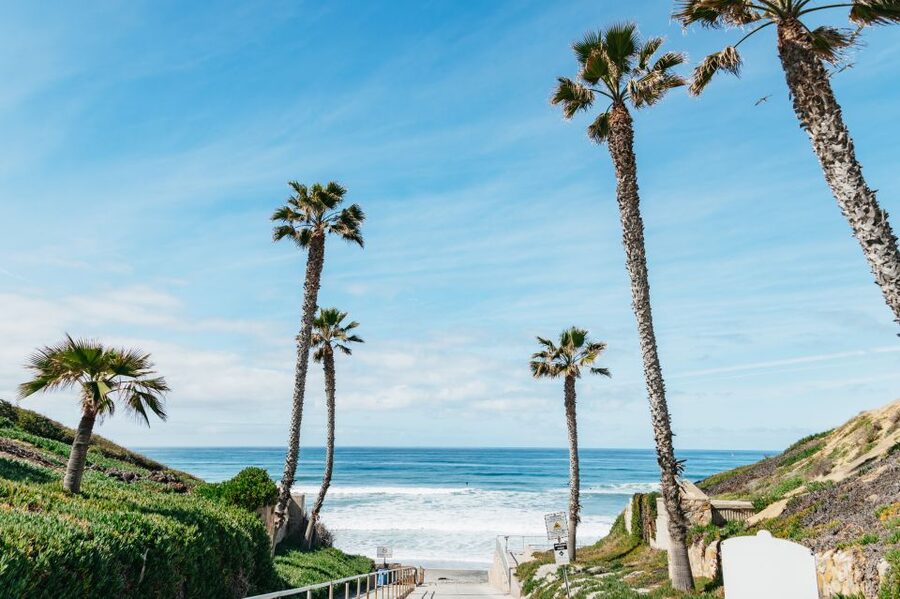 Solana Beach: Private Surf Lesson with Board and Wetsuit - Learning the basics before you paddle out