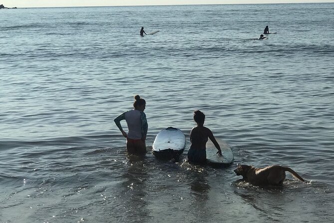 Surf Lesson for Beginners in Sayulita & Punta de Mita - Meeting your instructor in Sayulita
