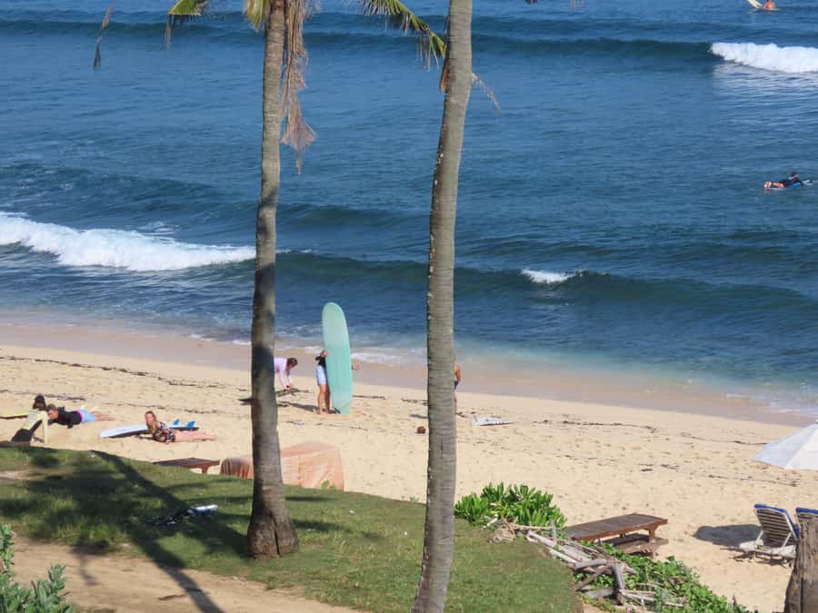 Surf Lessons in Uluwatu for All Levels - What is included for the $38 price
