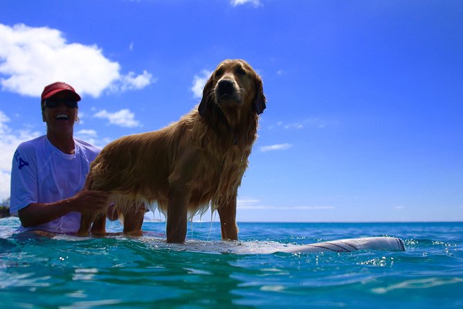 Surf Lessons on the North Shore of Oahu - Key points before you book