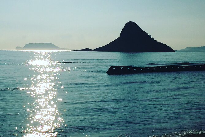 Surf or Kayak or Standup Paddle board in Lanikai, Kailua, Oahu - Who Should Book This Kailua Water Experience?