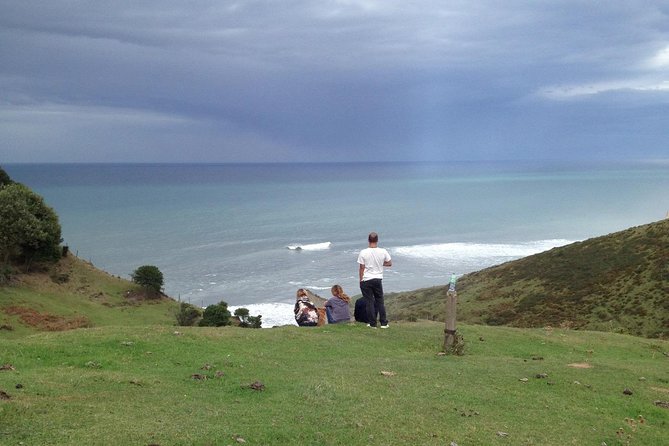 Surf the Basque Country Day trip - Private experience - A surf day built around the right wave