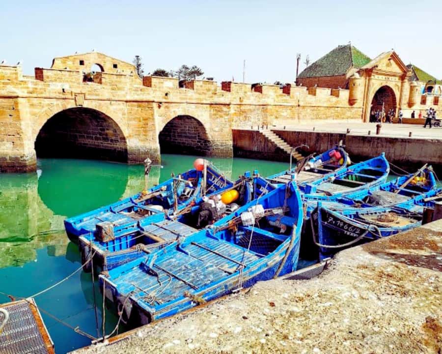 Surf Training and Lunch on Essaouira Day Trip from Marrakech - What the guides add to the day