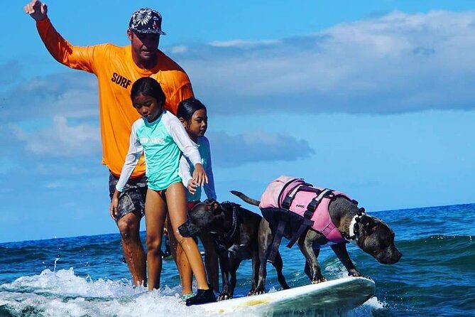 Surf with a Service Animal - The private format and who benefits most