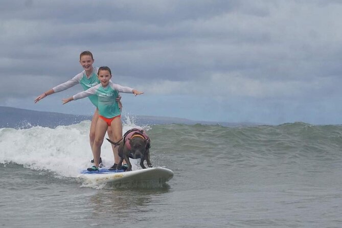 Surf with a Service Animal - What is included, and what you need to bring