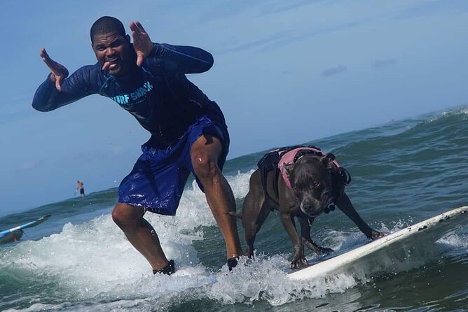 Surf with a Service Animal - The strongest reasons to choose this Maui experience