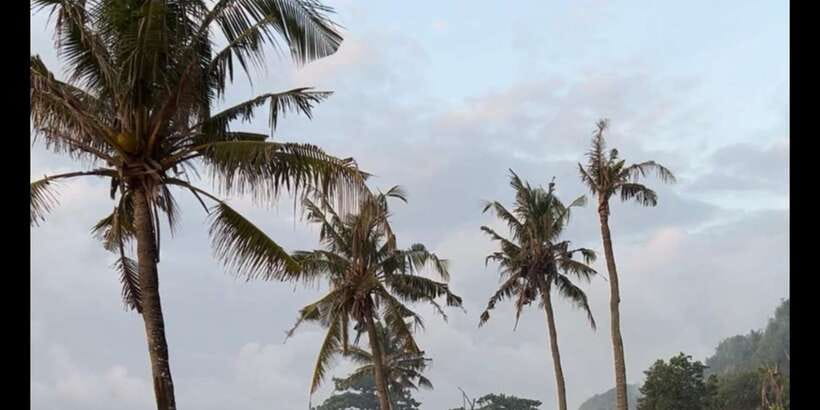 SURFA BALI curated surf lesson + trip to spots (Beg. & Int.) - Key points to know before you book