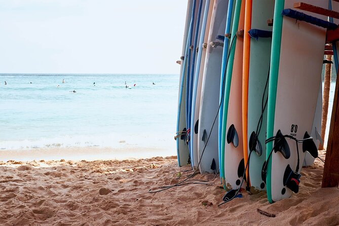 Surfing Lesson in La Mata Beach - Who should book this La Mata lesson