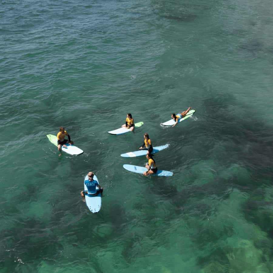 Sydney: Dee Why Beach Group Surfing Lesson - Learning to paddle, position, and pop up