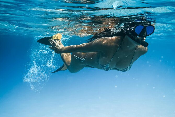 Tenerife Paddle Surf and Snorkeling Experience - Key points to know before you book