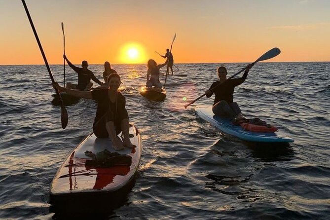 Tenerife Paddle Surf and Snorkeling Experience - Guided snorkeling in clear water