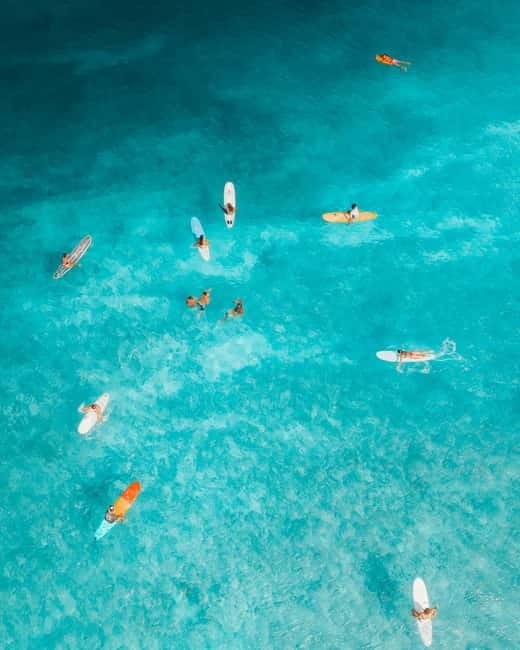Tenerife: Paddle Surf Experience in Playa de las Américas - Key points at a glance