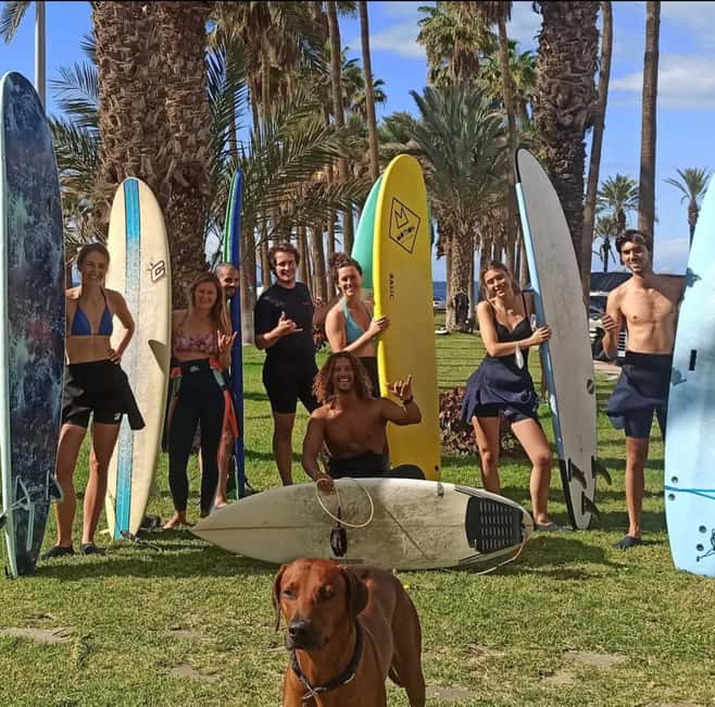 Tenerife: Paddle Surf Experience in Playa de las Américas - A lively start on Avenida Rafael Puig Lluvina