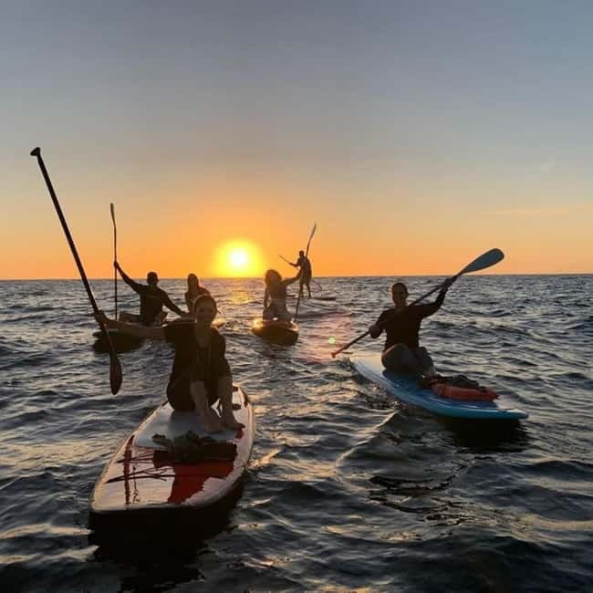 Tenerife: Paddle Surf Experience in Playa de las Américas - Who will enjoy this most