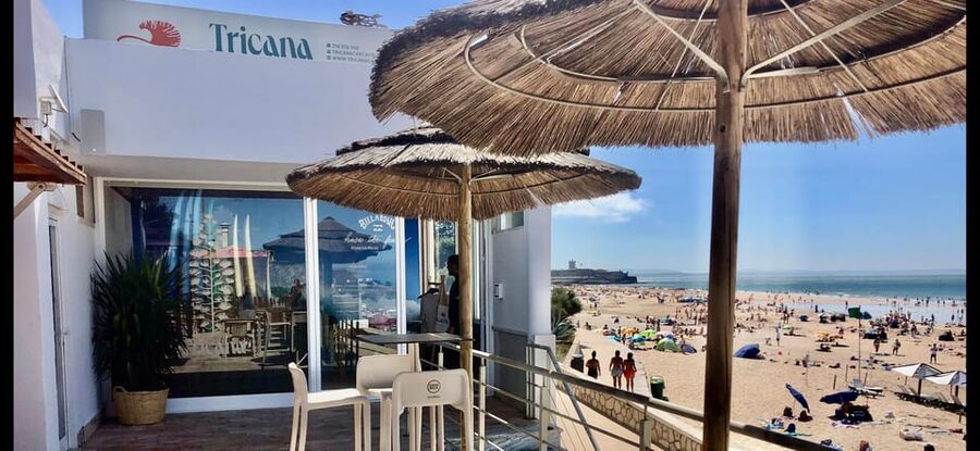 Tricana Surf Experience - Key points at a glance