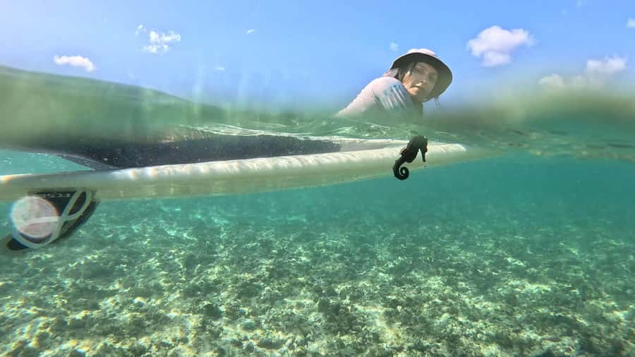 Waikiki: Surf Lessons Easy 60 min classes no crowds! - Key points at a glance
